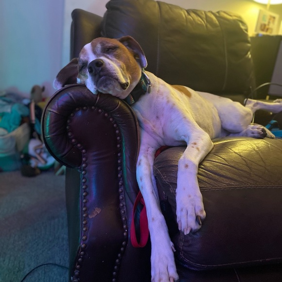 Future Mrs.Couture - Picture 9 of 16